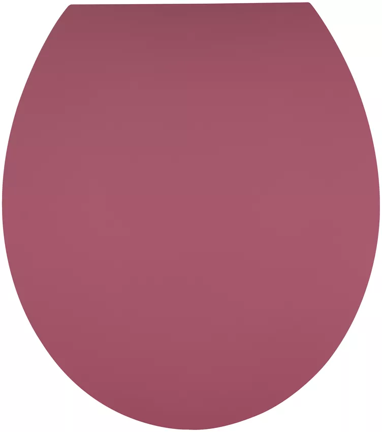31167942_medium_1.webp